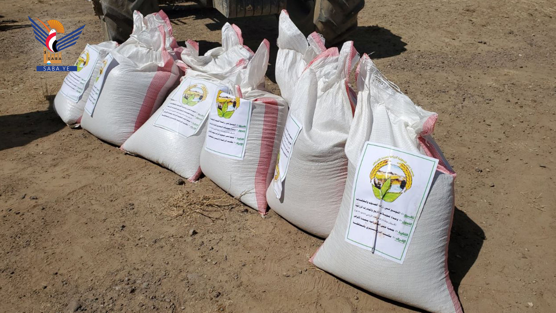 جمعية عنس بذمار تدشن مشروع التوسع في زراعة الحبوب والبقوليات
